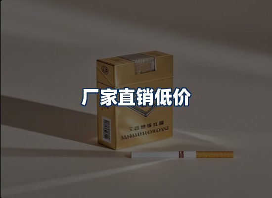 专业团队办公环境